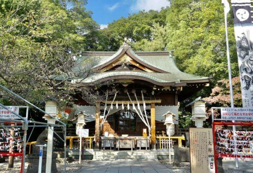 鎮守氷川神社の画像