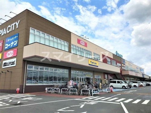 KASUMI(カスミ)フードスクエア柏中新宿店の画像