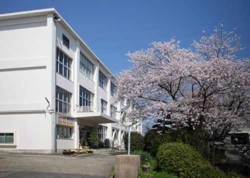 桃山中学校の画像