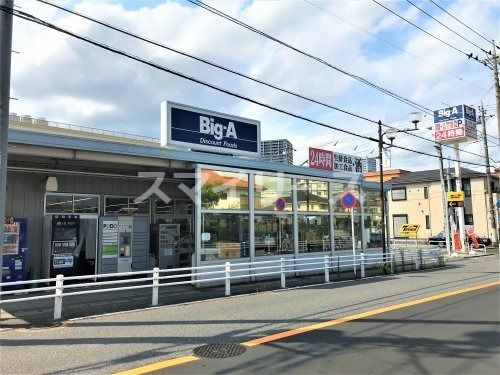 ビッグ・エー 柏中央店の画像