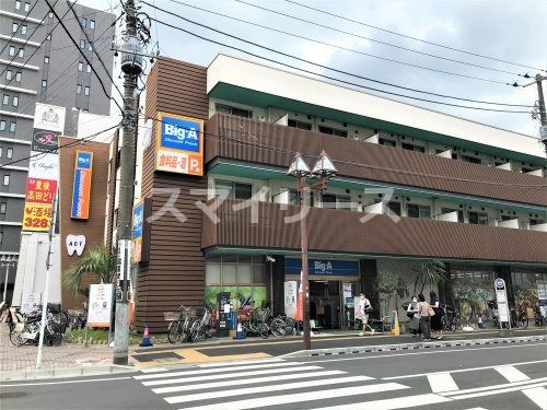 ビッグ・エー 柏南柏店の画像