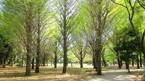 都立蘆花恒春園の画像