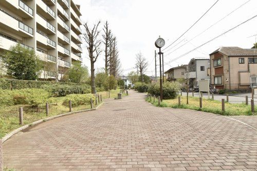 練馬区立南田中いちょう並木公園の画像