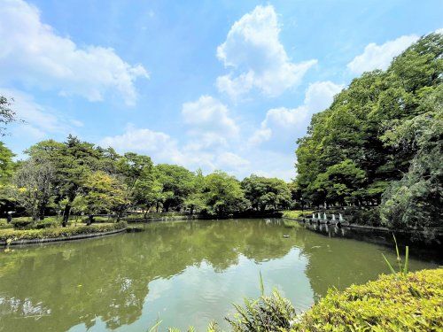 杉並区立妙正寺公園の画像