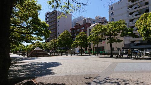 新宿緑道の画像