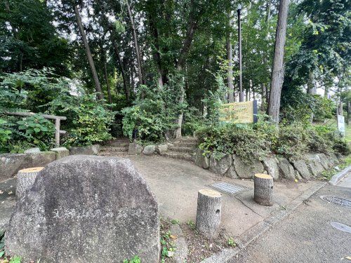 元締山の森緑地の画像