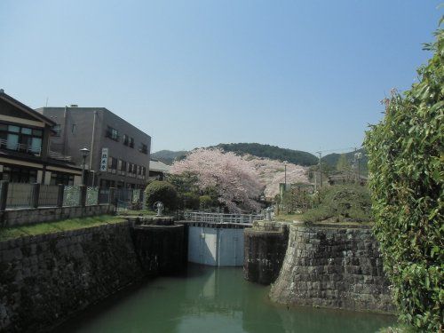 琵琶湖疏水の画像