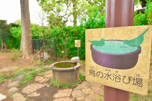 練馬区立高松大門公園の画像