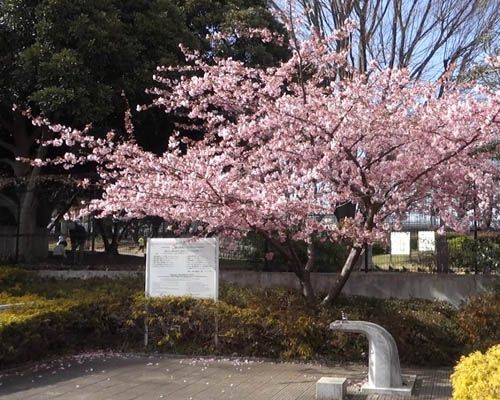 やくも街かど公園の画像