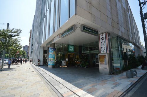 KINOKUNIYA INTERNATIONAL(紀ノ国屋インターナショナル)の画像