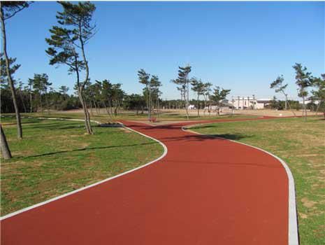 豊ケ浜運動公園の画像