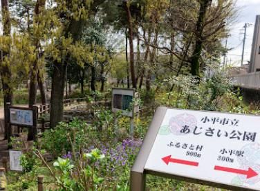 あじさい公園の画像