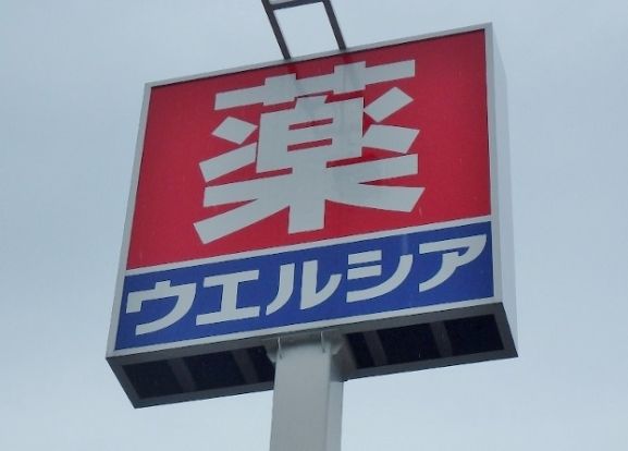 ウエルシア薬局栃木駅前店の画像