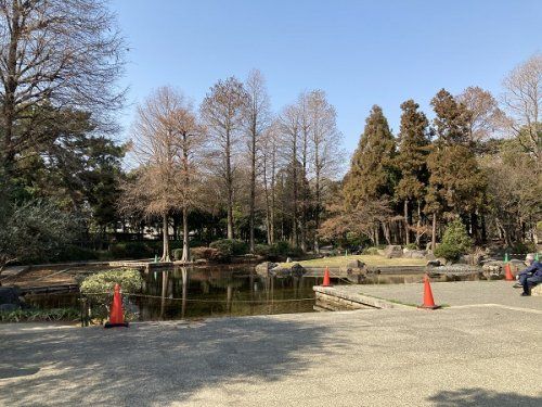 近松公園の画像