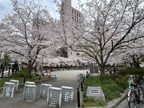 金塚ふれあい東公園の画像