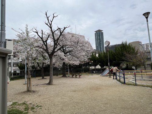 松崎公園の画像