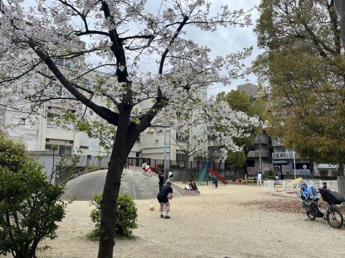 常盤公園の画像