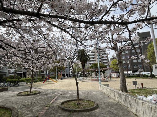 大道北公園の画像