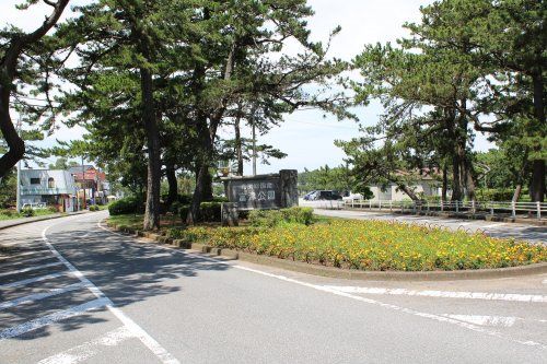 県立富津公園の画像
