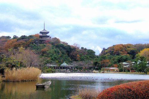 三溪園の画像