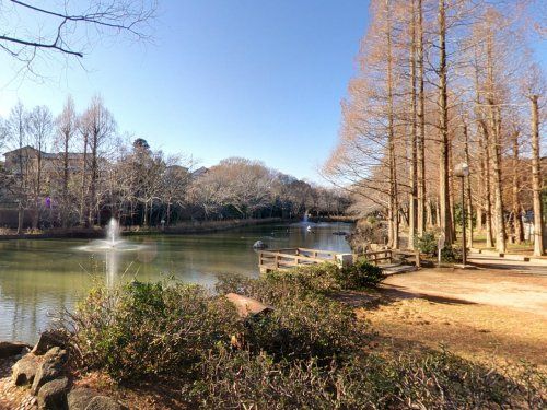 貝柄山公園の画像