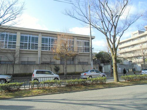 京都市立紫明小学校の画像