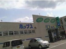 ドラッグストア ホップス長岡店の画像