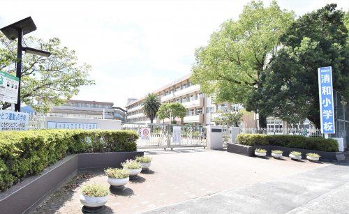 鹿児島市立清和小学校の画像