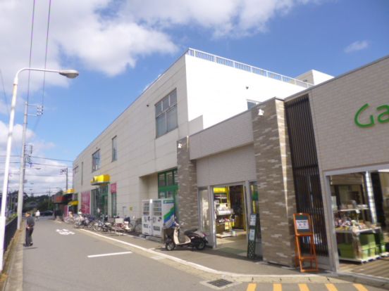 ザ・ダイソー　松戸大橋店の画像