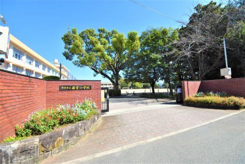 熊本市立若葉小学校の画像