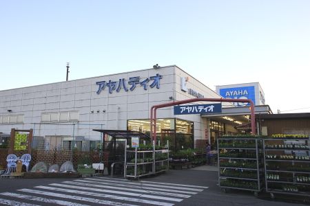 アヤハディオ堅田店の画像