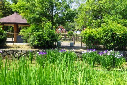 舟渡池公園の画像