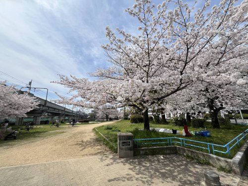 長池公園の画像