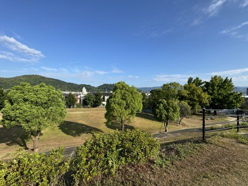 竹島公園の画像