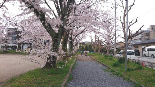 鹿ノ下公園の画像