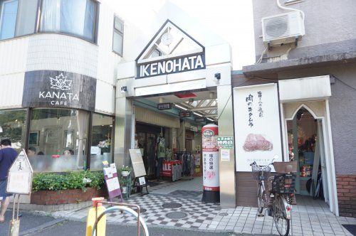 妙蓮寺　池之端商店街の画像