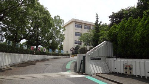 岡崎市立小豆坂小学校の画像