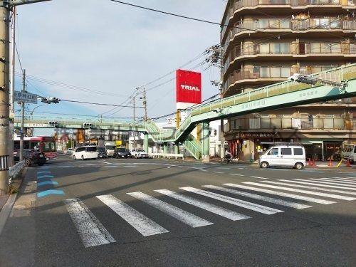 トライアル寝屋川大成店の画像