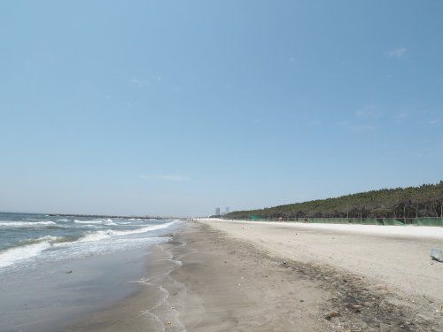 いなげの浜海水浴場の画像