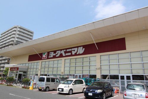 ヨークベニマル新田東店の画像