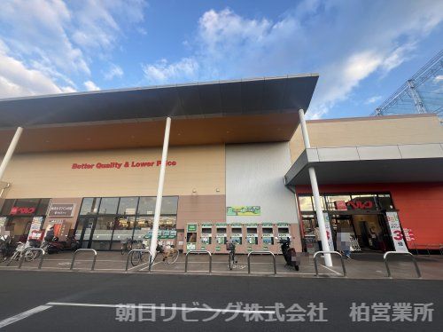 ベルク 松戸河原塚店の画像