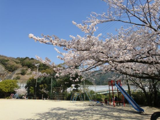 大津市立 藤尾小学校の画像