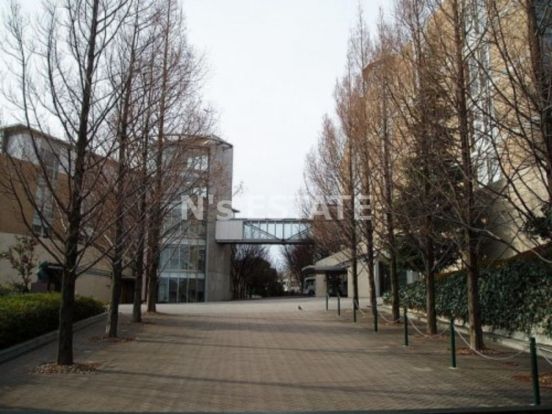 私立神戸常盤大学の画像