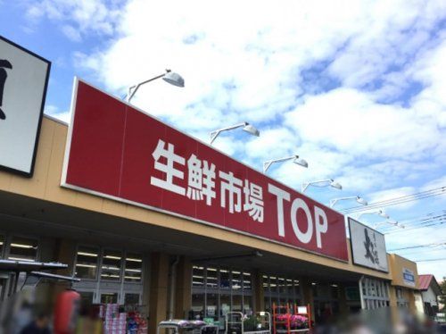 生鮮市場TOP(トップ) 苗間店の画像
