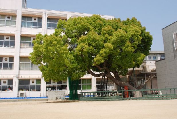 魚住小学校の画像