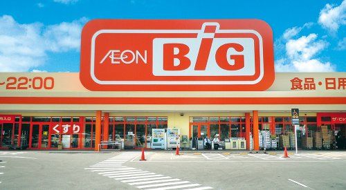 The Big(ザ・ビッグ) 平島店の画像