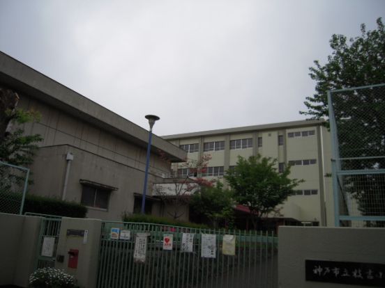 枝吉小学校の画像