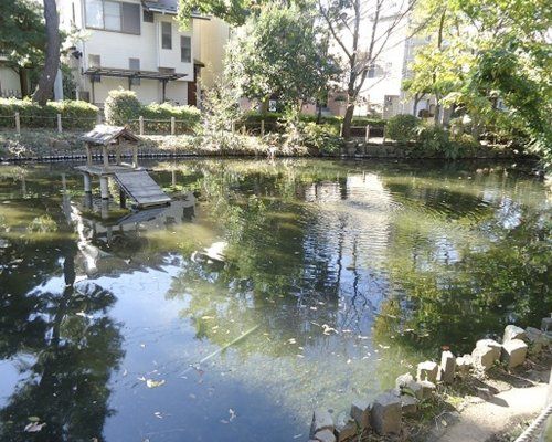 世田谷区立つりがね池公園の画像