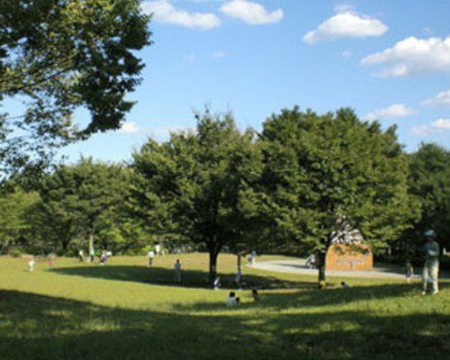 世田谷区立祖師谷公園の画像