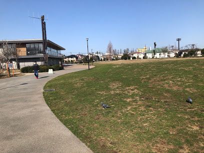 杉並区立下高井戸おおぞら公園の画像